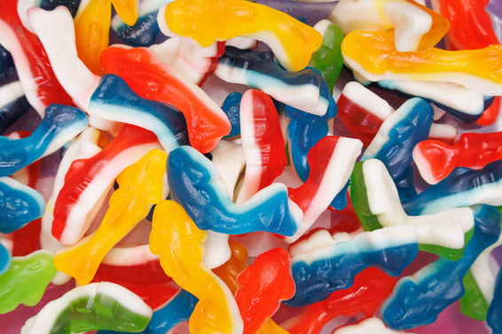 Gummy Sharks