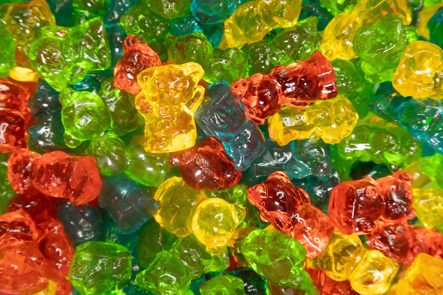 3d Gummy Chubby Bears