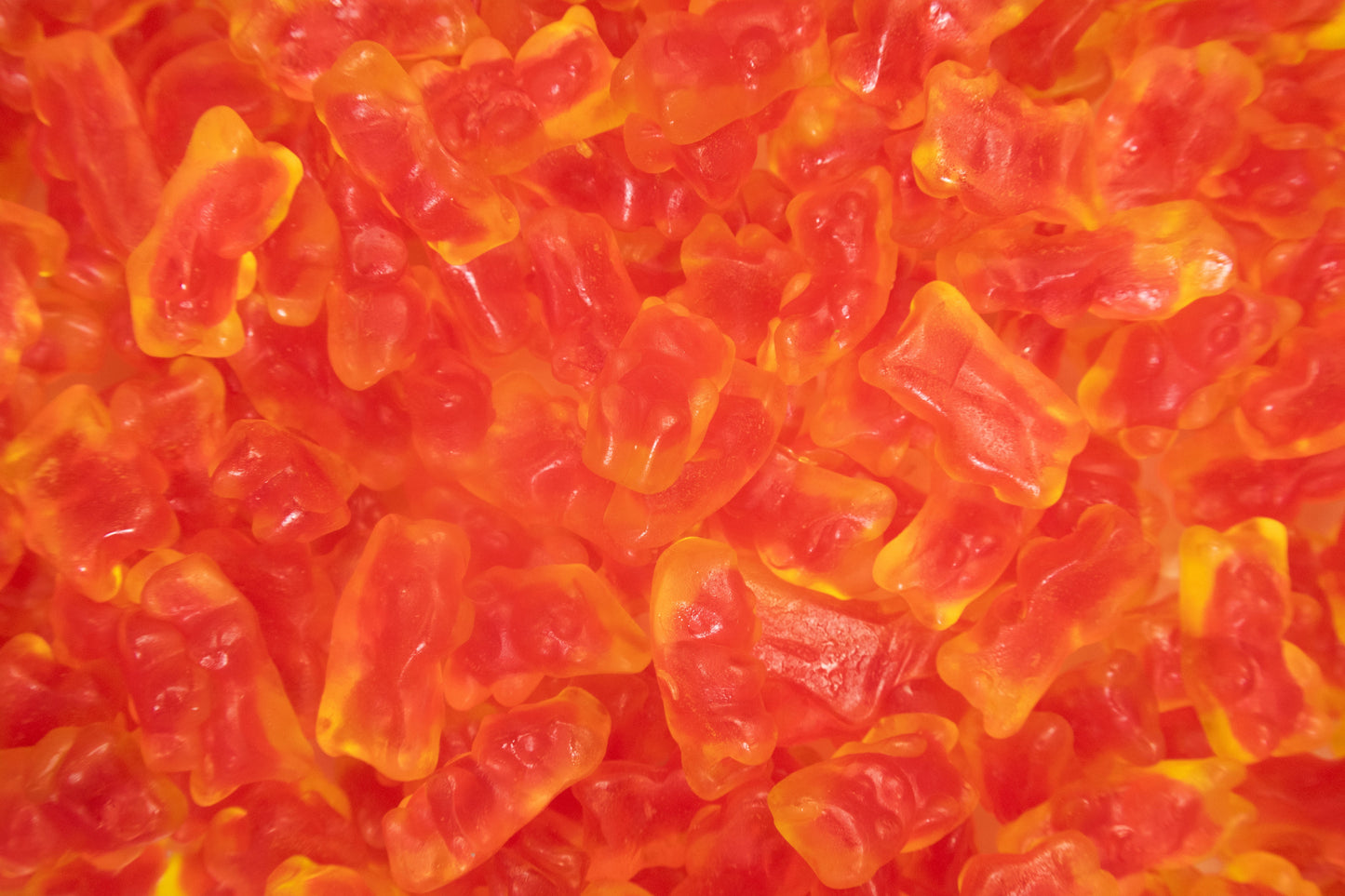 Energy Filled Bears