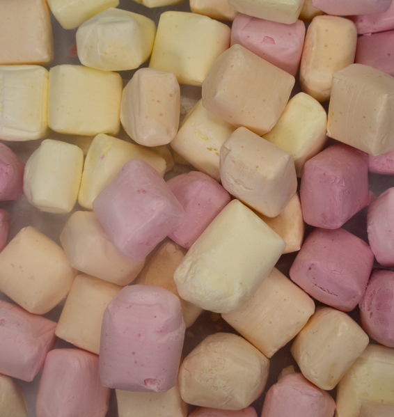 Fruit Flavour Caramels