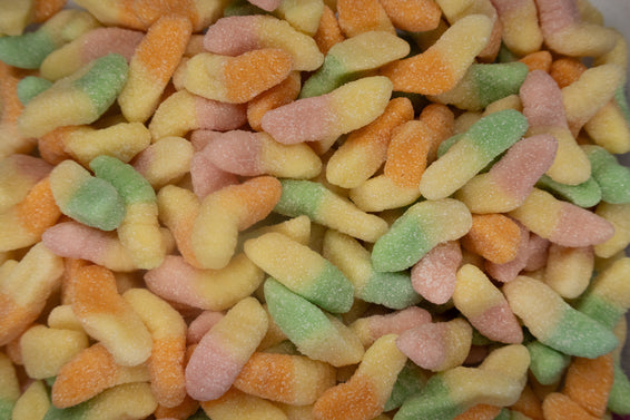 Glow Worms
