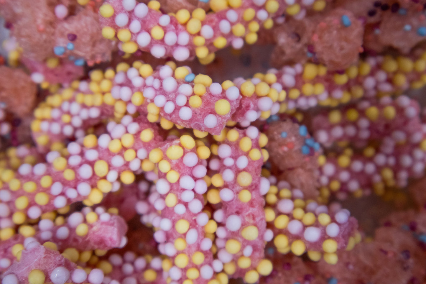 Rainbow Crunch Mix