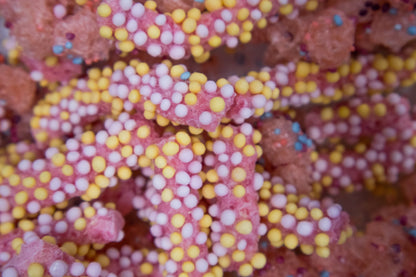 Rainbow Crunch Mix