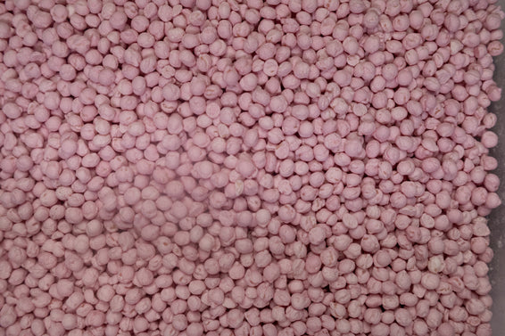 Strawberry Millions