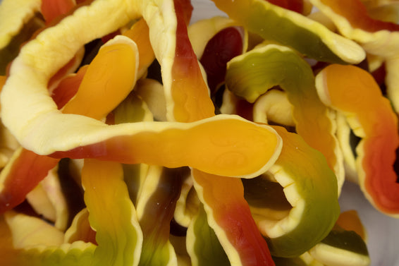 Yellow Bellies